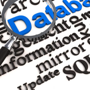 database installation wordpress installs