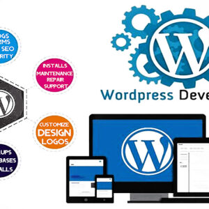 Wordpress installation plugins themes